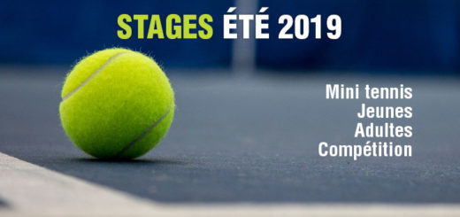 stages-ete2019